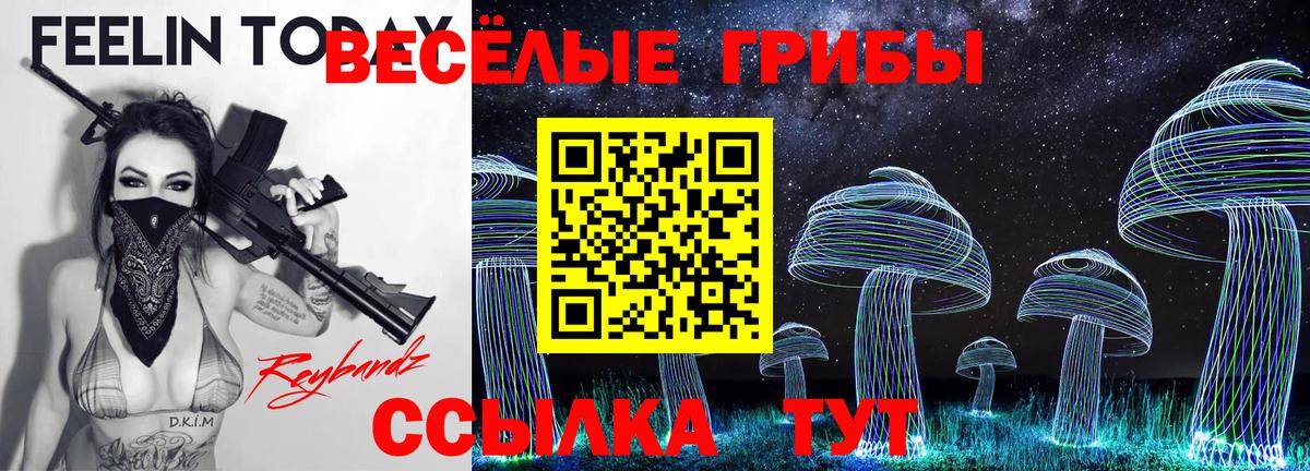 Галлюциногенные грибы мицелий  Вход с VPN  Миллерово 